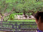 โครงการศึกษานอกสถานที่ ระดับชั้น ป.4 "ตะลุยดินแดนมหัศจรรย์ใน ... Image 71