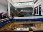 โครงการศึกษานอกสถานที่ ม.1 “เรียนรู้สนุกคิดกับวิทยาศาสตร์” Image 68